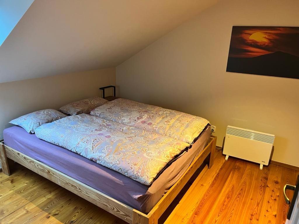 Duzy Apartament Duszniki-Zdroj Duszniki Zdrój Dış mekan fotoğraf